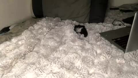 Snapshot of allthewayup10 chatting on 03.02.25 allthewayup10 online show from 03.02.25