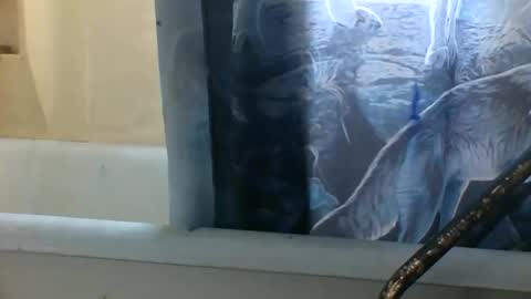 allwolf0323 online show from 11.06.25