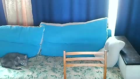 almirsex online show from 06.28.26