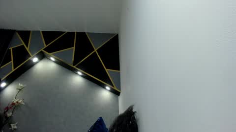 Snapshot of almma_ chatting on 01.14.25 ALMMA online show from 01.14.25