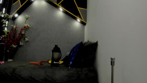 Snapshot of almma_ chatting on 01.23.25 ALMMA online show from 01.23.25