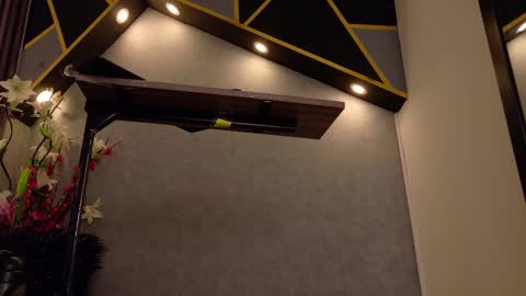 Snapshot of almma_ chatting on 02.17.25 ALMMA online show from 02.17.25