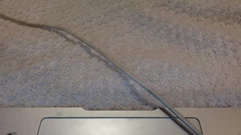 Snapshot of alongwhitedick chatting on 03.12.25 ALongwhitedick online show from 03.12.25