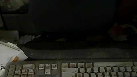 Loooopy online show from 07.24.26
