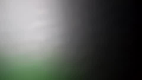 Snapshot of alostmale chatting on 02.20.25 alostmale online show from 02.20.25