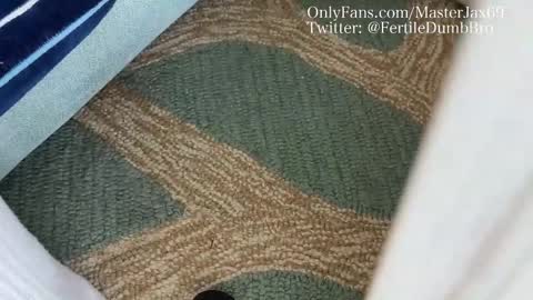 MasterJax69 online show from 10.27.25