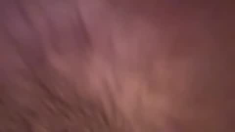 alphazack14 online show from 02.19.25