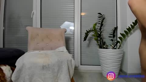 Amalia Nilsson  online show from 02.12.25