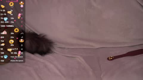 Snapshot of amandaafire chatting on 12.27.24 Amanda online show from 12.27.24