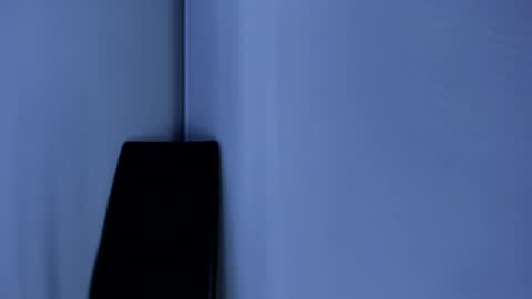 Snapshot of amarettho chatting on 01.17.25 Emily online show from 01.17.25