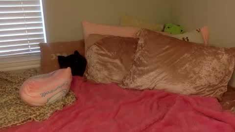 Amber 3 online show from 09.14.25