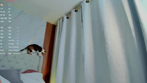 Snapshot of amelie_leigh chatting on 02.28.25 Alejandra online show from 02.28.25