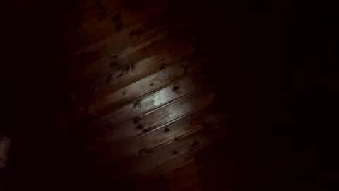 amendolaa536 online show from 11.25.25