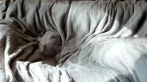 Snapshot of american_horny chatting on 10.24.25 Olive  Walter online show from 10.24.25