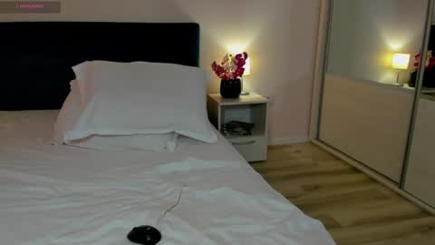 ANA online show from 01.10.25