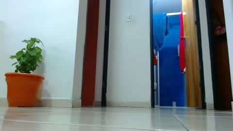 anaids online show from 12.19.24