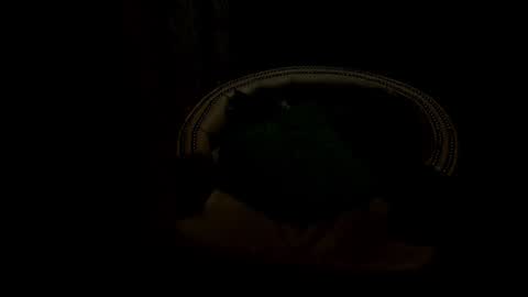 analia18  online show from 01.17.25