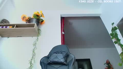 ana  online show from 11.29.25