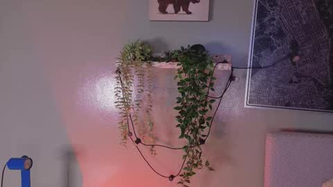 Kendra  online show from 02.20.26