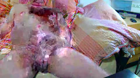 Snapshot of andi84k chatting on 11.20.25 Andi online show from 11.20.25