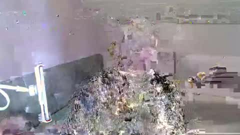 Andorphin online show from 01.06.25