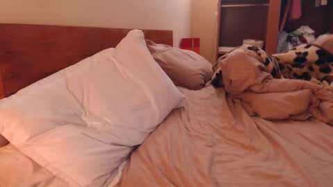 Andra online show from 02.06.25