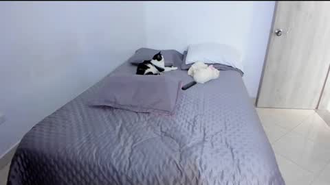 Andrea online show from 03.02.25