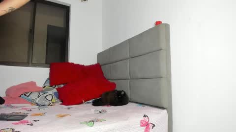 ANDREA online show from 05.01.26