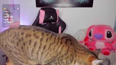 Snapshot of andreag_ chatting on 03.08.26 Andrea online show from 03.08.26