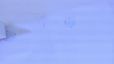 A n d r  e a S w e e t  online show from 03.17.26