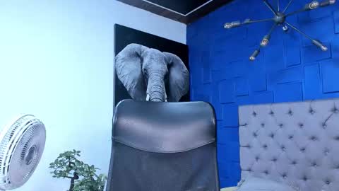 insta andres clark  online show from 10.26.25