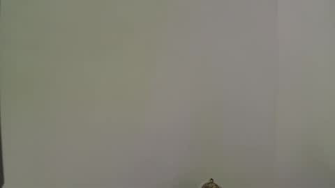 andres_stud online show from 10.13.25