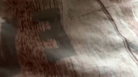 Zloy online show from 10.19.25