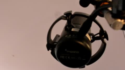      online show from 03.11.25