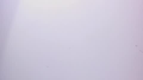 Snapshot of angel_hardy_dl chatting on 02.15.25 angel hardy online show from 02.15.25