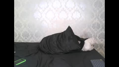 Snapshot of angel_lein chatting on 02.11.25 Angel Lein online show from 02.11.25