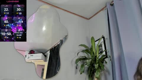 Carolina online show from 11.01.25