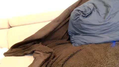 Angelica online show from 11.06.25