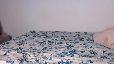 Angelinhaa  online show from 01.17.26