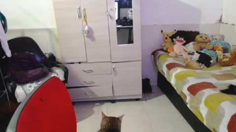 angels online show from 09.25.25