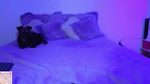 Angie Gomez  Onlyfans angie bigboobs FREE online show from 04.22.26