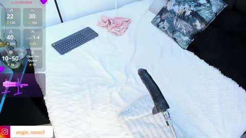 angiee roses online show from 12.14.24