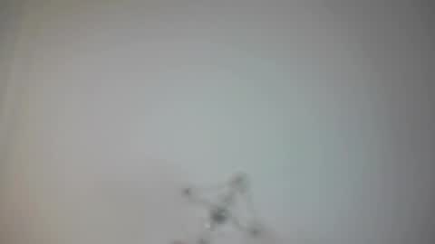 Snapshot of angry_tomato_ chatting on 02.19.25 Lera My next stream on November 30 online show from 02.19.25