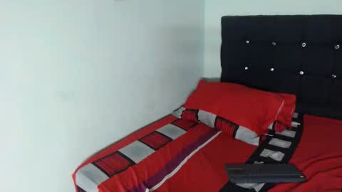 Snapshot of ani_damian22 chatting on 11.13.25 ani_damian22 online show from 11.13.25