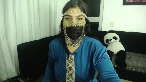 Snapshot of aniisaalii chatting on 11.15.25 Anissa online show from 11.15.25