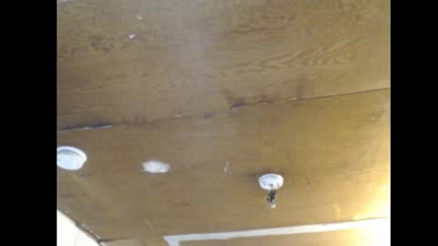 Snapshot of anilyseardor chatting on 02.25.25 Ani online show from 02.25.25