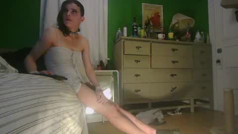 Snapshot of anilyseardor chatting on 05.22.26 Ani online show from 05.22.26