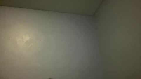 Snapshot of animeboygirls chatting on 11.10.25 Animeboygirls online show from 11.10.25