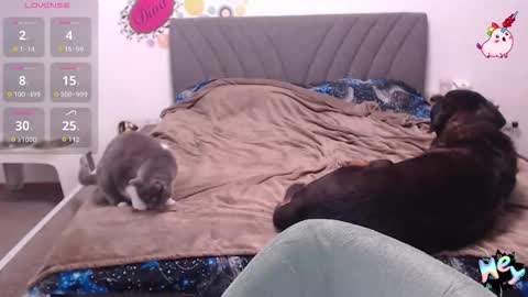 Snapshot of anna_ana chatting on 01.08.26 Anadirectgirl online show from 01.08.26