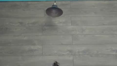 annasplash online show from 03.12.25